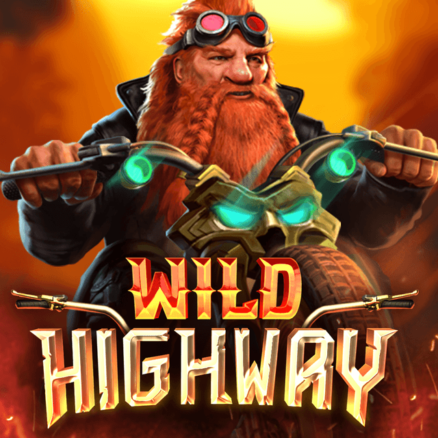 Wild Highway